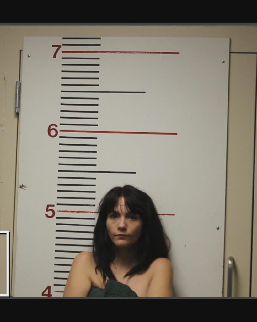 MCGEHEE, ZOE GABRIELLA arrested in Anderson County, Texas mugshot