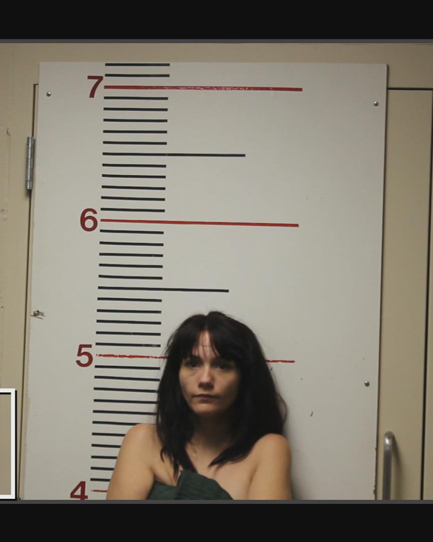 MCGEHEE, ZOE GABRIELLA arrested by Anderson County SO/PD