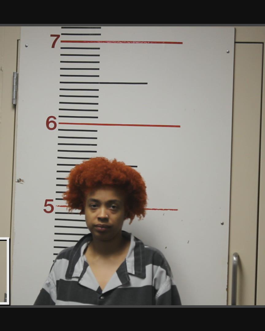 TIPPENS, CHRISTIANA RAYLYNN booking photo