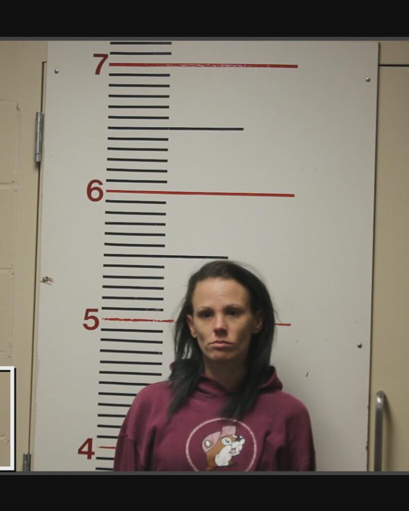 Hockett, Betty Gail arrested in Anderson County, Texas mugshot