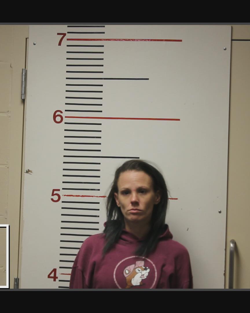 Hockett, Betty Gail booking photo