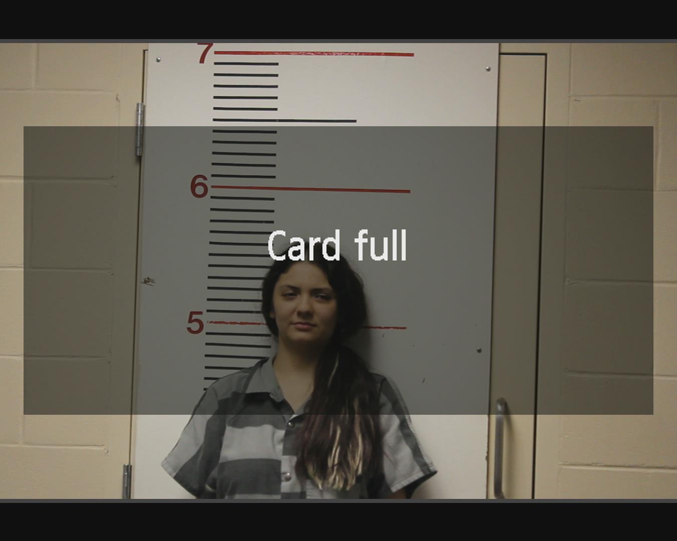 VILLELA, ADRIANS booking photo