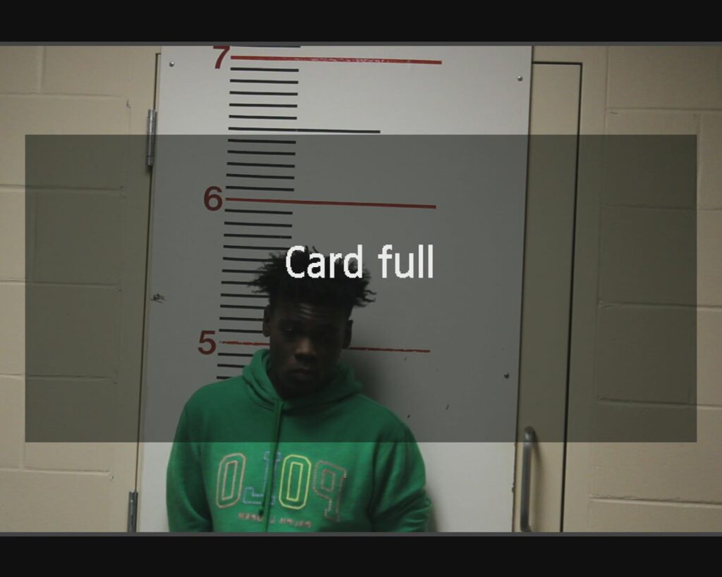 WHITE, DARRIUS JAKLYNN arrested in Anderson County, Texas mugshot