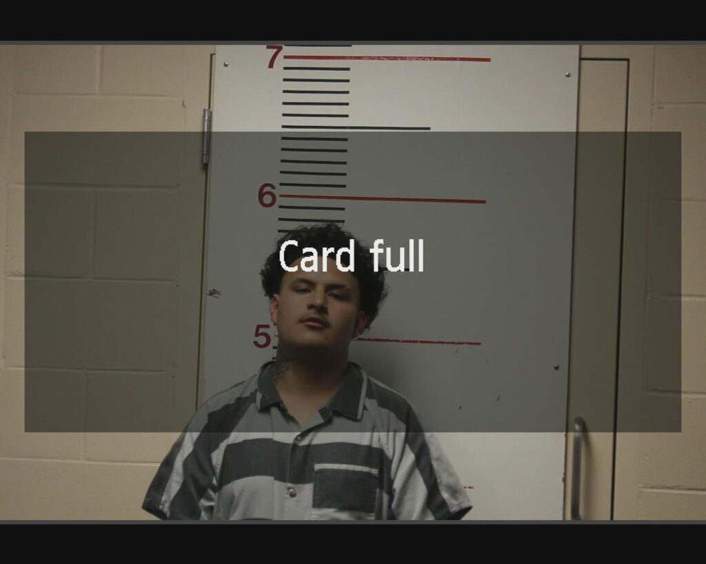 LOAEZA, CHRISTOPHER RICARDO arrested in Anderson County, Texas mugshot