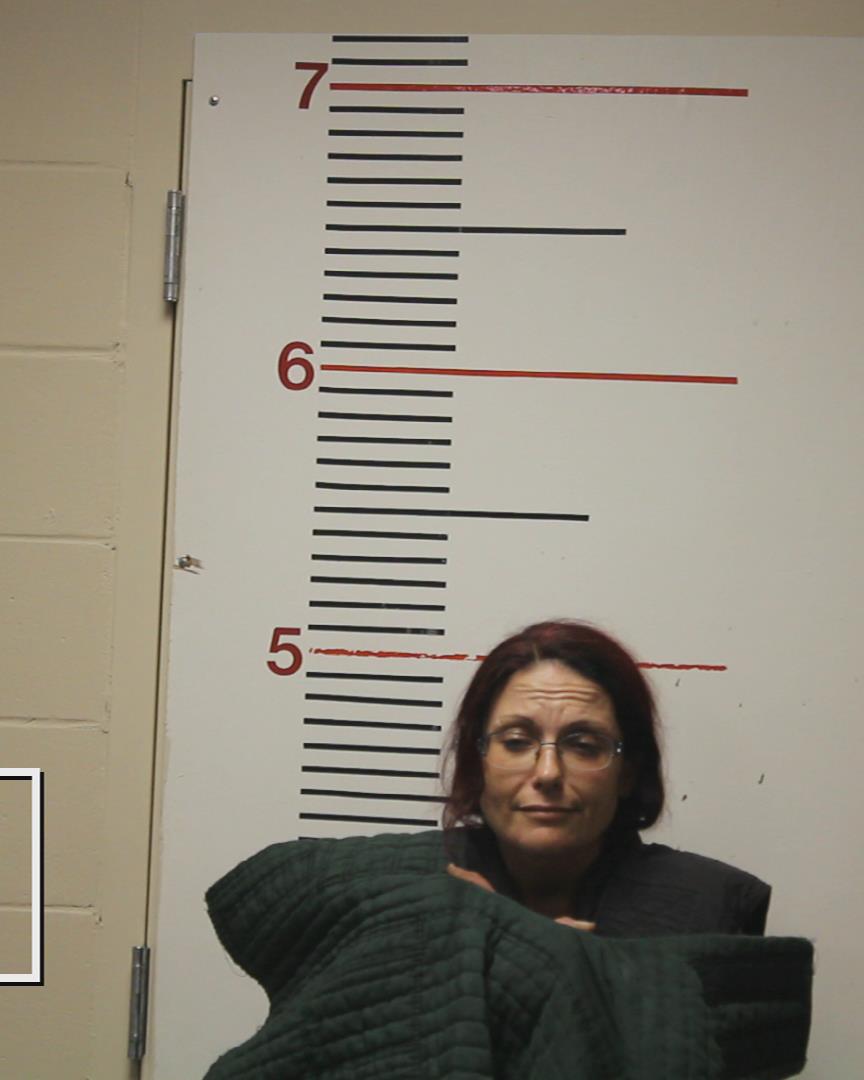 CARRINGTON, AMY DENISE booking photo