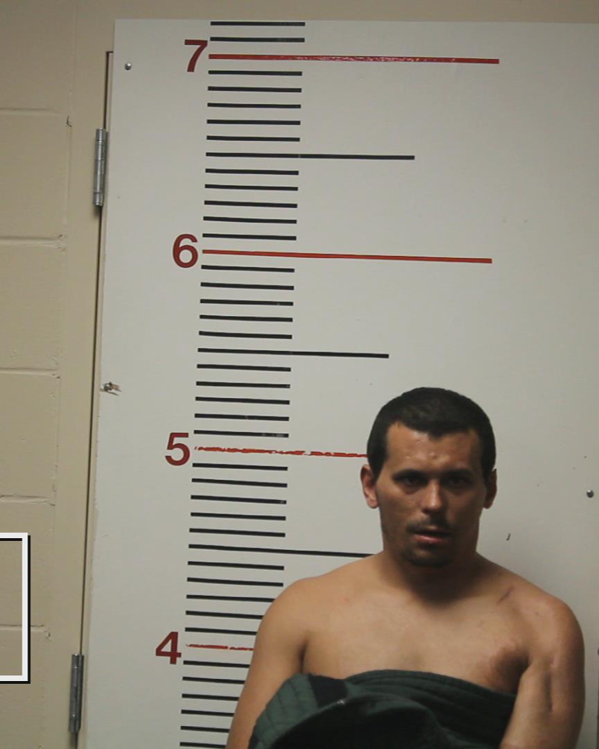 JOHNSON, RENO LEON booking photo