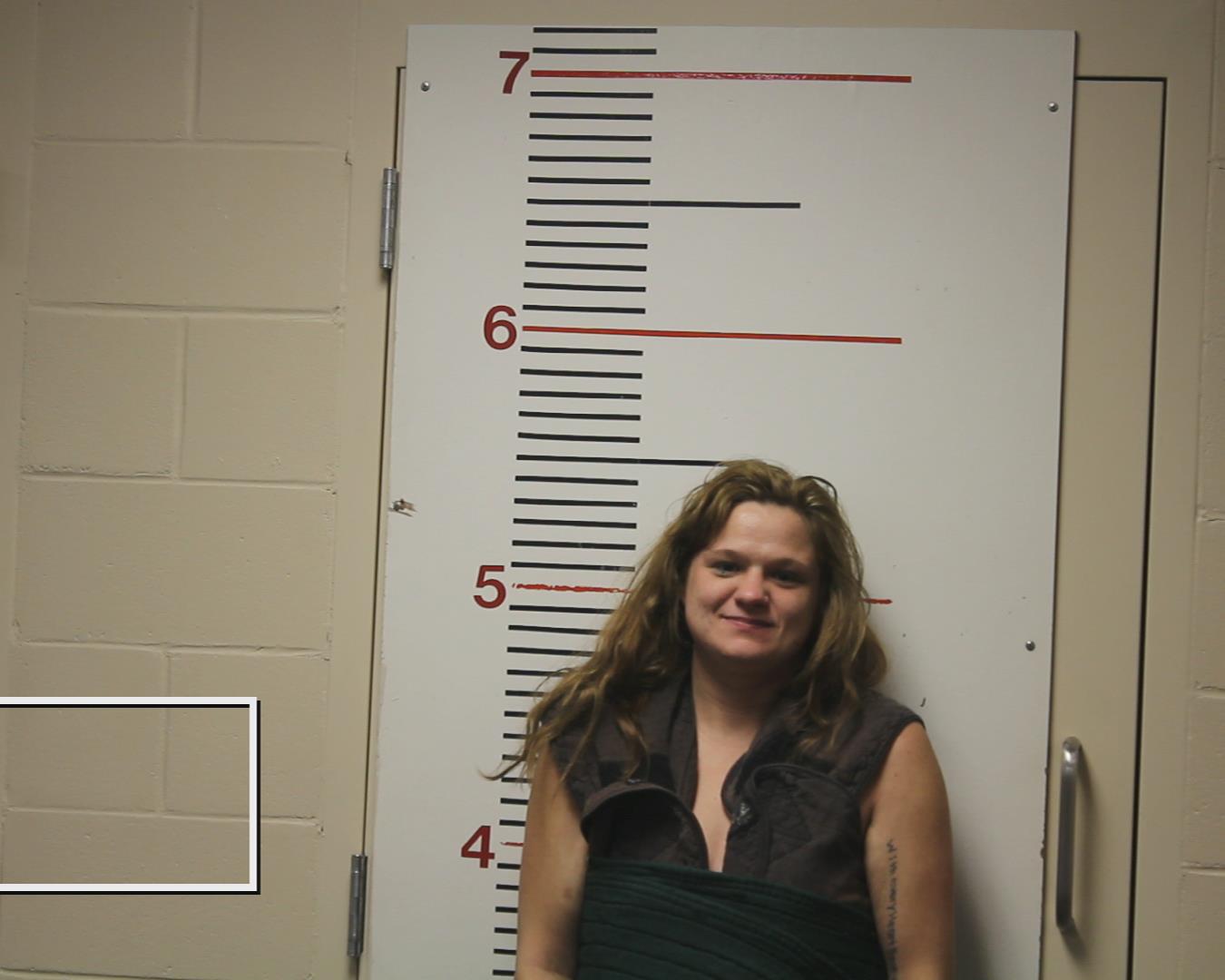 MATHEWS, BRITTNEY MAE booking photo