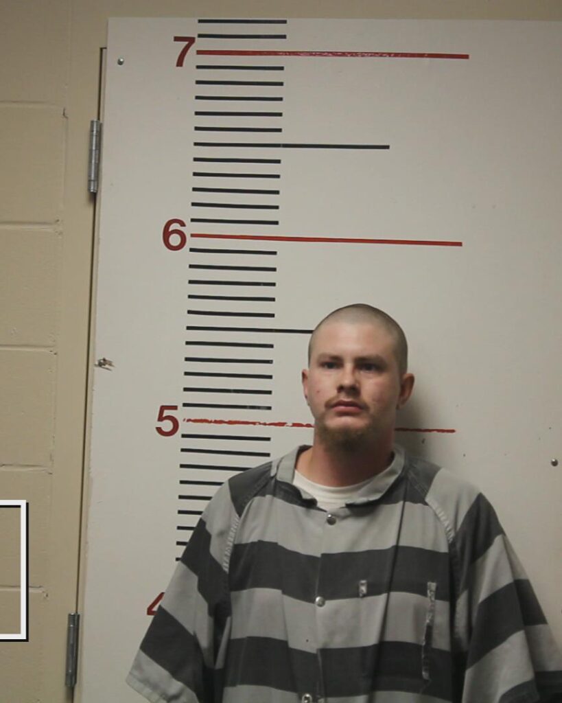 COX, DAKOTA LYNN arrested in Anderson County, Texas mugshot