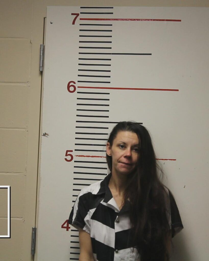 BARTRAM, BROOKELYNNE TONNIELLE arrest record in Anderson County, Texas BARTRAM, BROOKELYNNE TONNIELLE arrested in Anderson County, Texas mugshot