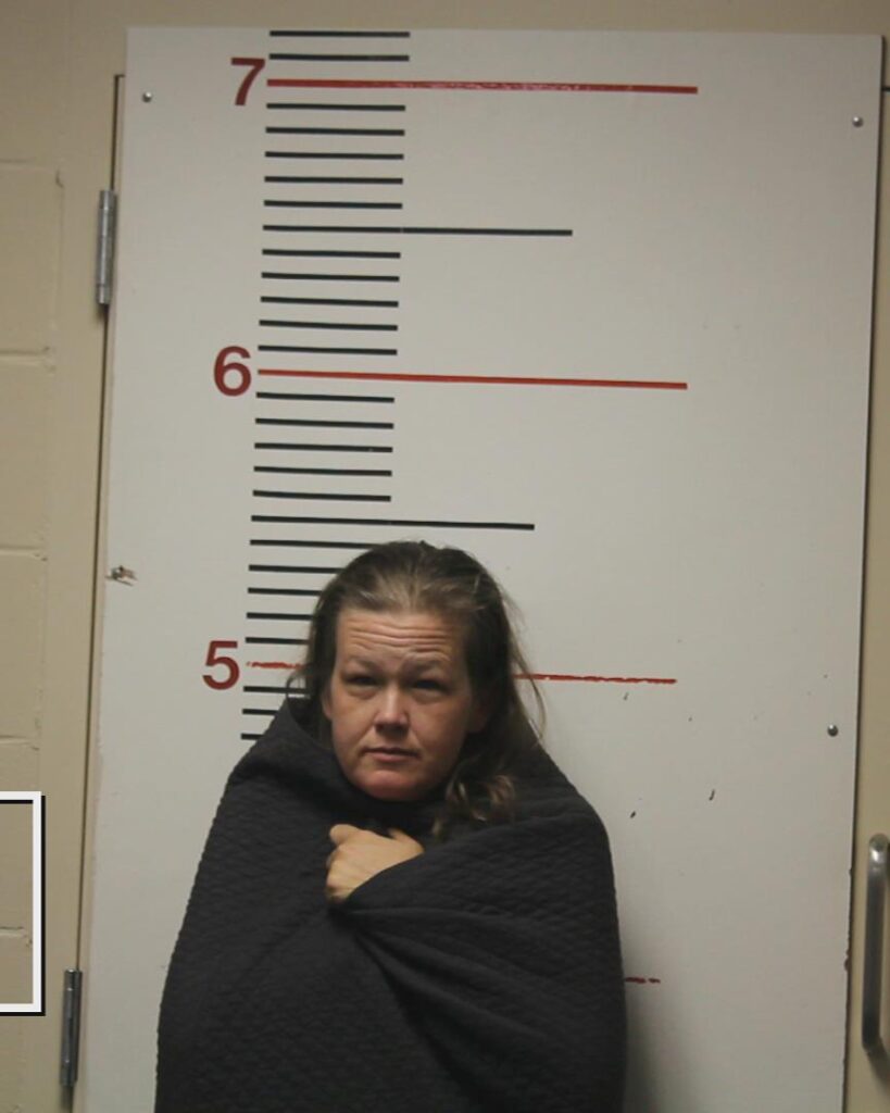 BLASER, SUSAN RENEE arrested in Anderson County, Texas mugshot