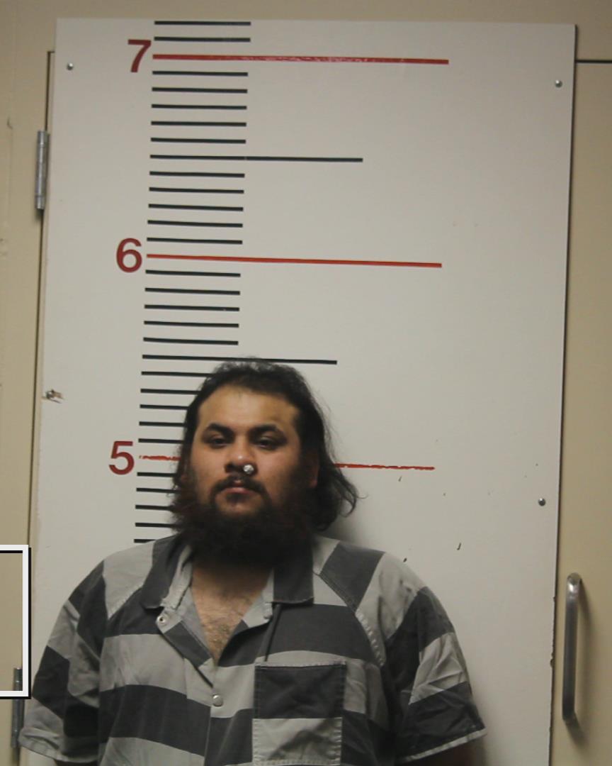 GONZALES, ORLANDO TOVAR booking photo