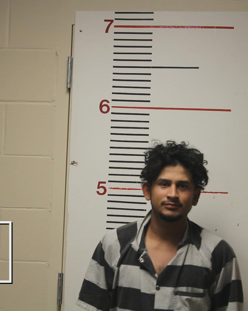 PICADO-LOPEZ, CARLOS DANILO booking photo