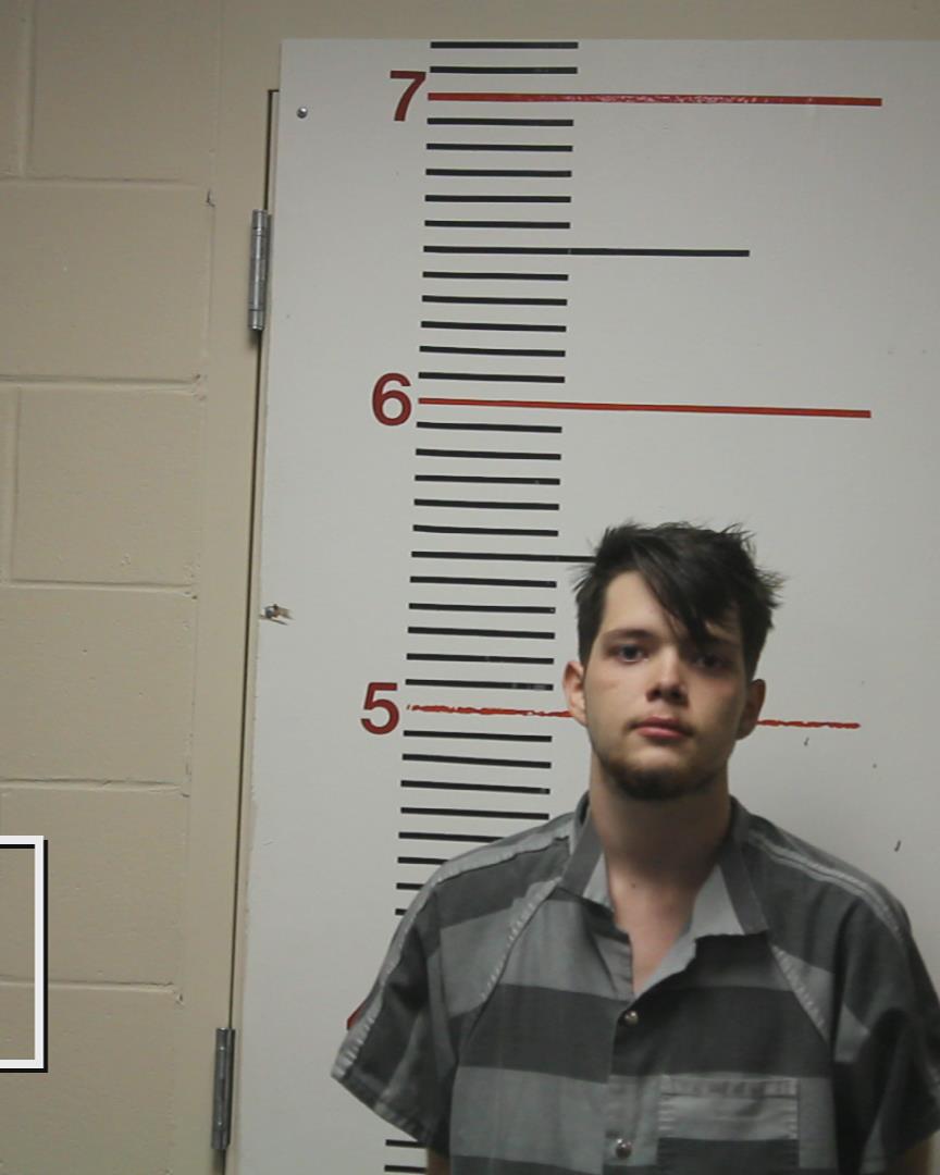 LAFONTAINE, COLYER TRENT booking photo