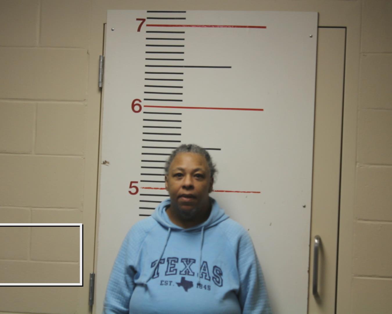 ANDERSON, JACKIE YOLANDA booking photo