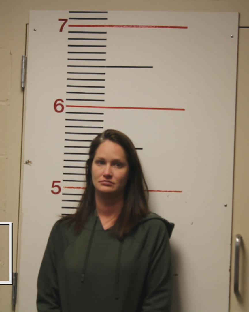 SKALICKY, MARCIE ANN booking photo