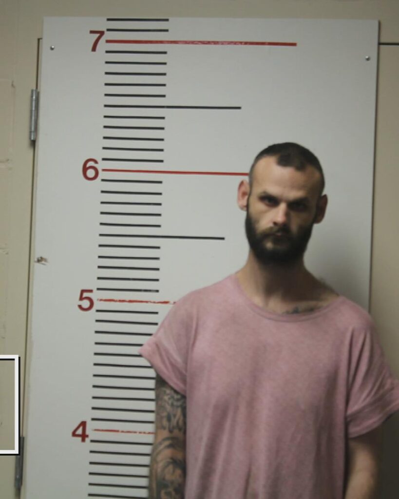 WALSTON, JAMES CALVIN, Jr. arrested in Anderson County, Texas mugshot