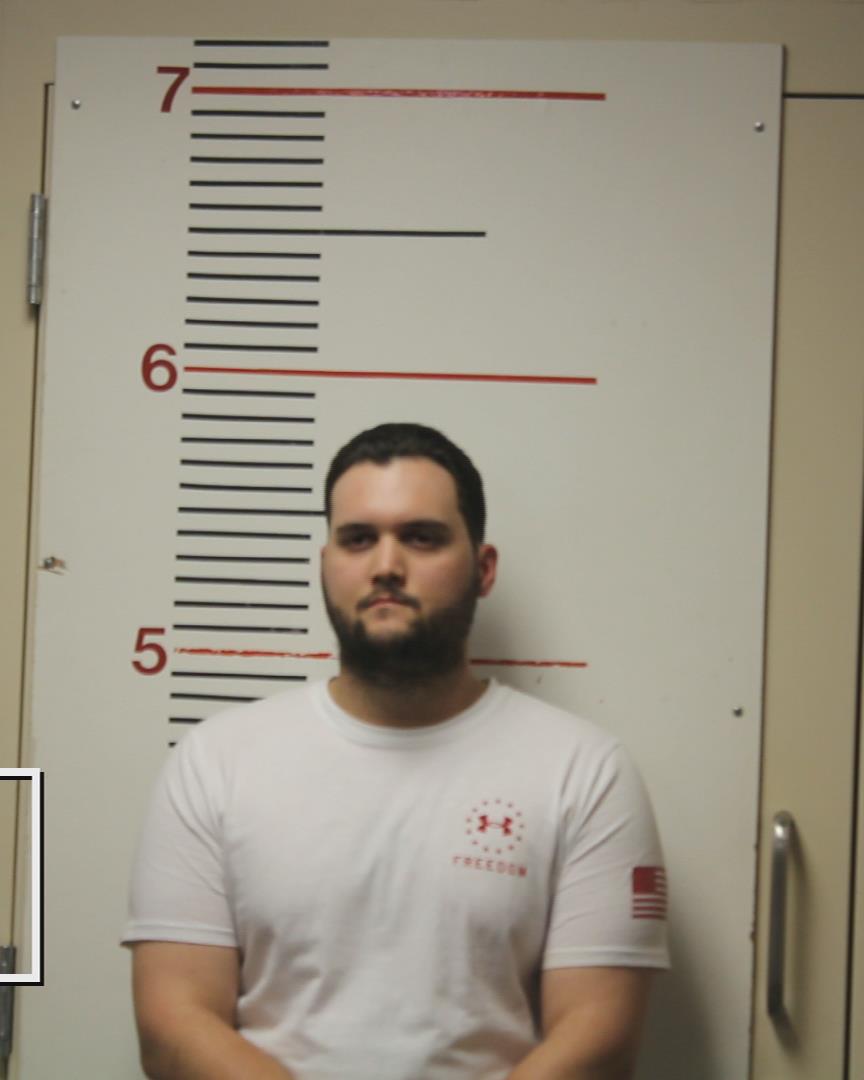 PERKINS, EVAN LUKE booking photo