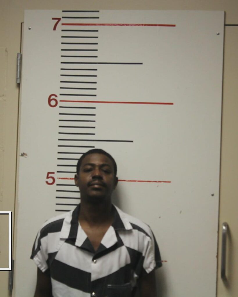 SHEPHERD, LESTER arrested in Anderson County, Texas mugshot