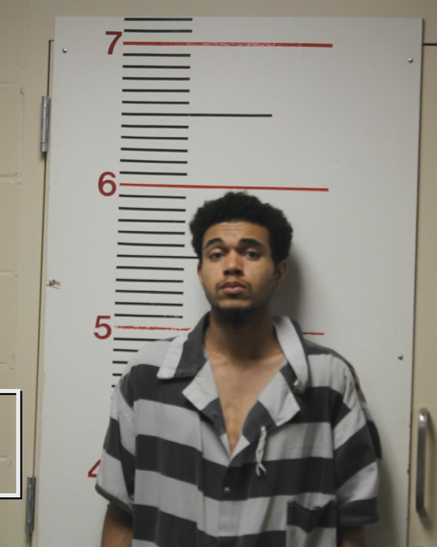 DAWSON, CHRISTOPHER DWAYNE booking photo