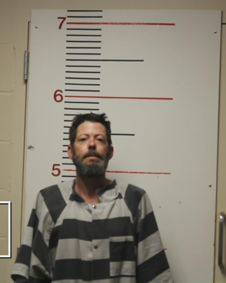 WELLS, JESSE LEE booking photo