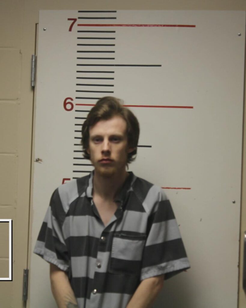 HAMILTON, BRADLEY MICHAEL arrested in Anderson County, Texas mugshot
