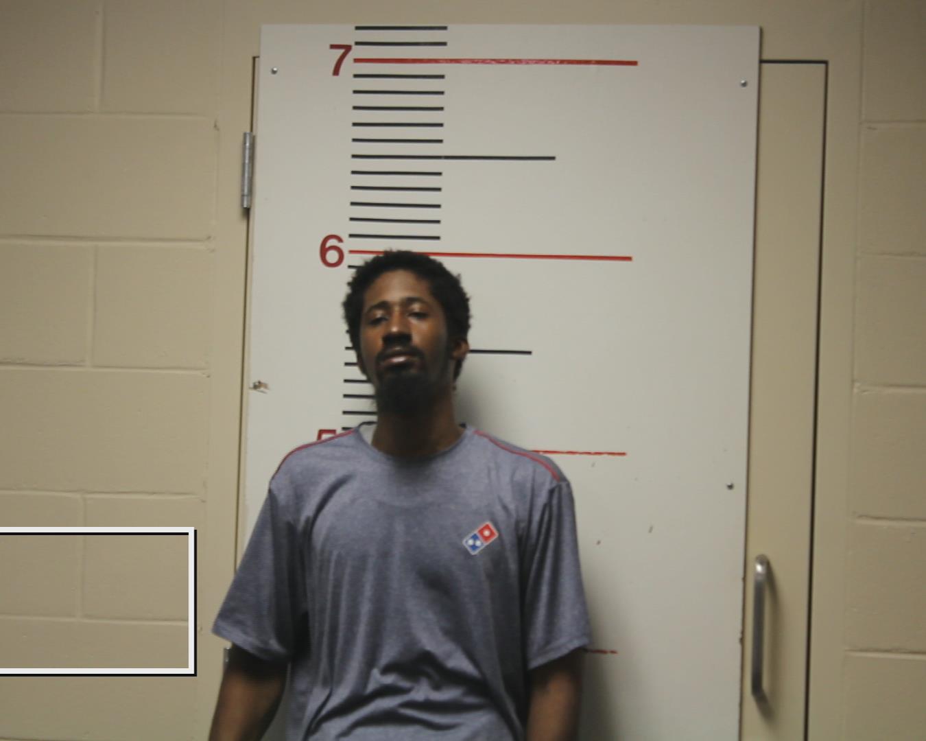 HENSON, DEION DENZEL booking photo