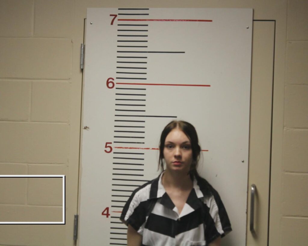 Bailey, Heaven arrested in Anderson County, Texas mugshot
