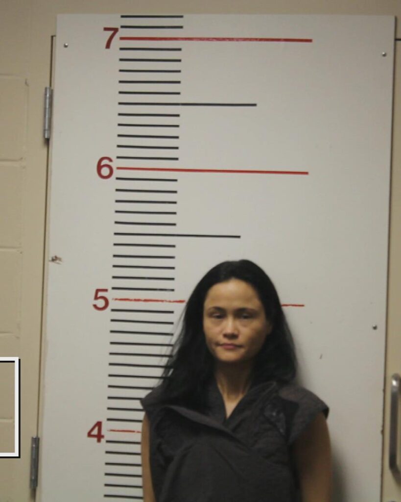 ODEGARD, BRITTANY RENAE arrested in Anderson County, Texas mugshot