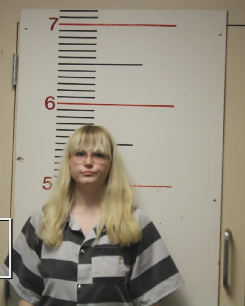 SHERIDAN, ASHTON MAKAYLE arrested in Anderson County, Texas mugshot