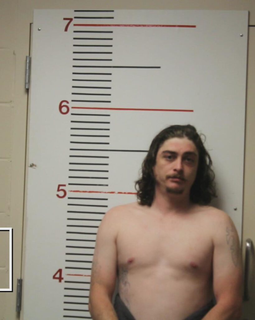 HARRIS, JORDAN DAVID arrested in Anderson County, Texas mugshot