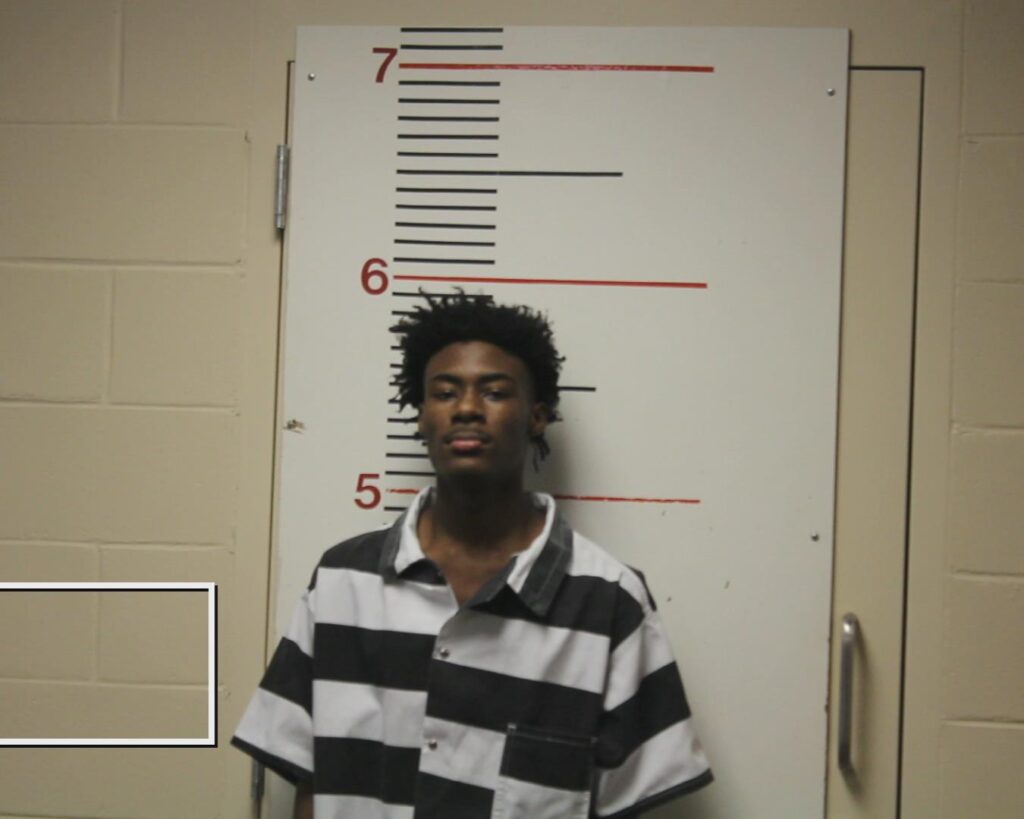 MITCHELL, MIEDARION arrested in Anderson County, Texas mugshot
