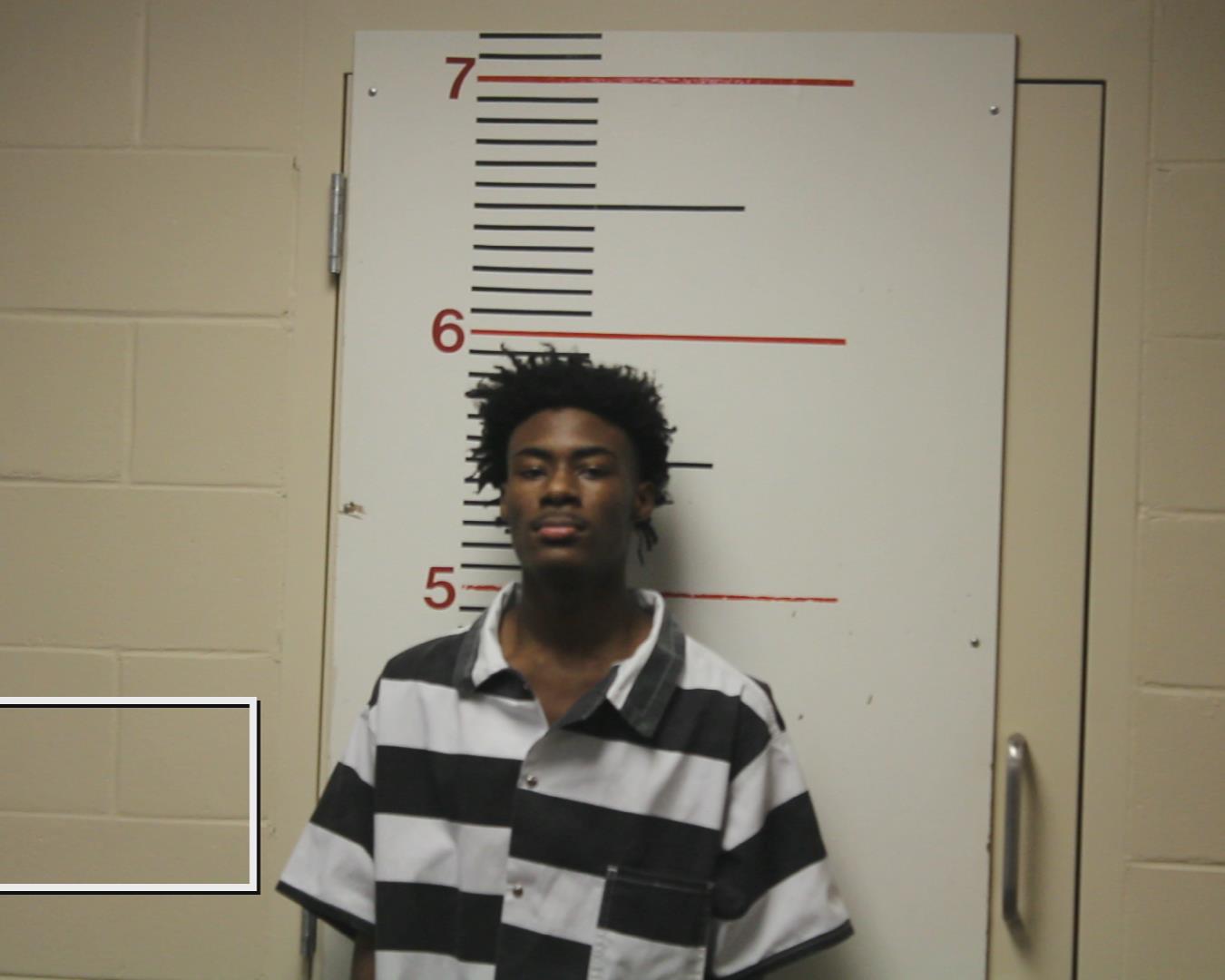 MITCHELL, MIEDARION booking photo