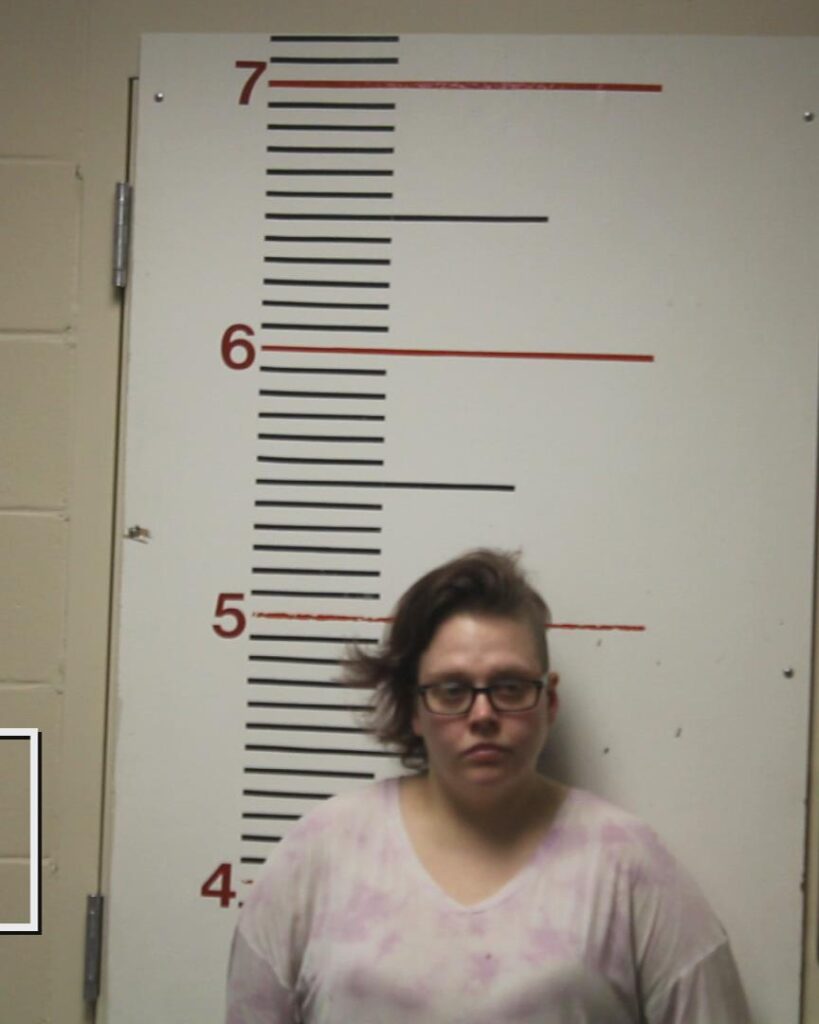 WELCH, KIMBERLY arrested in Anderson County, Texas mugshot