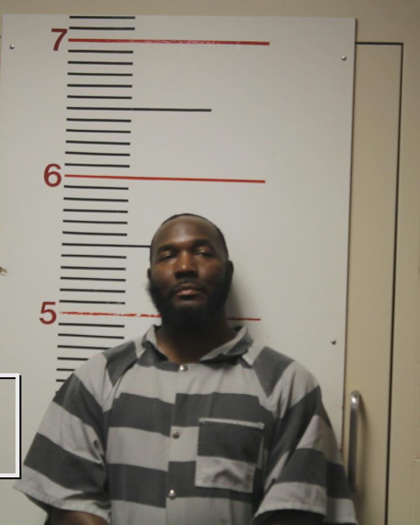 ROCKWELL, MARTEE booking photo