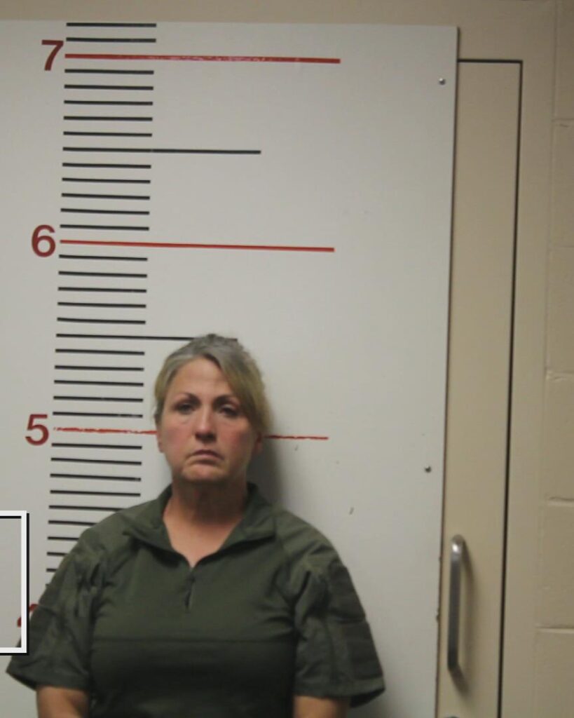 TILLMAN, MICHELE DIANE arrested in Anderson County, Texas mugshot