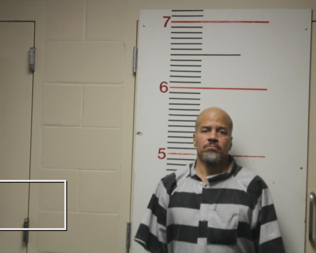 POWLIS, MALE ALEXANDER arrested in Anderson County, Texas mugshot