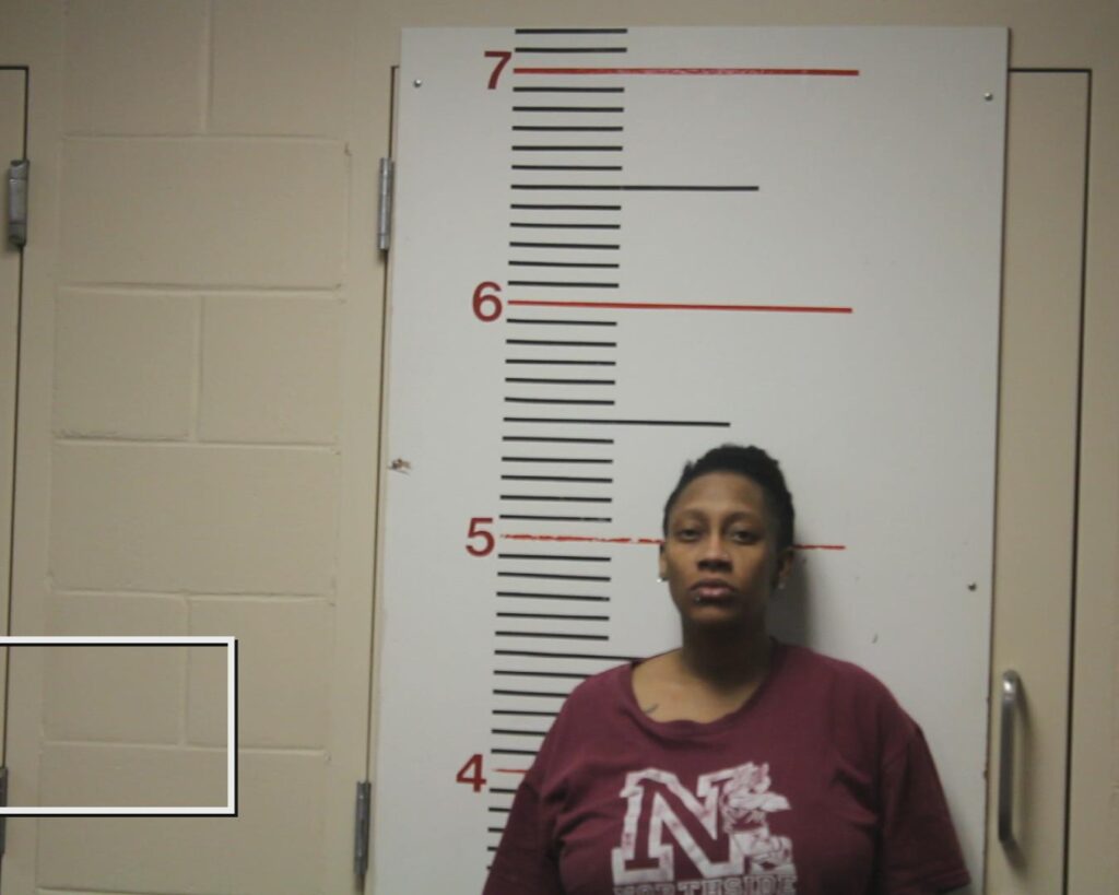 ASBERRY, KANDICE MONIQUE arrested in Anderson County, Texas mugshot