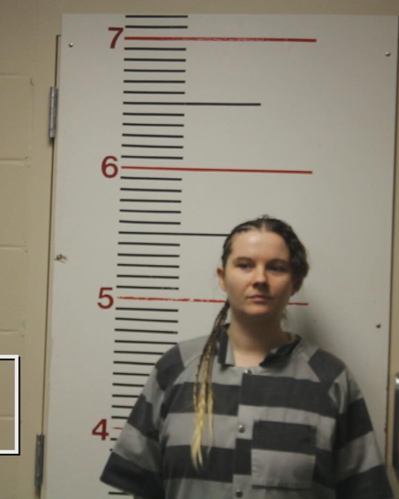LUMAN, SARAH LYNN arrested in Anderson County, Texas mugshot