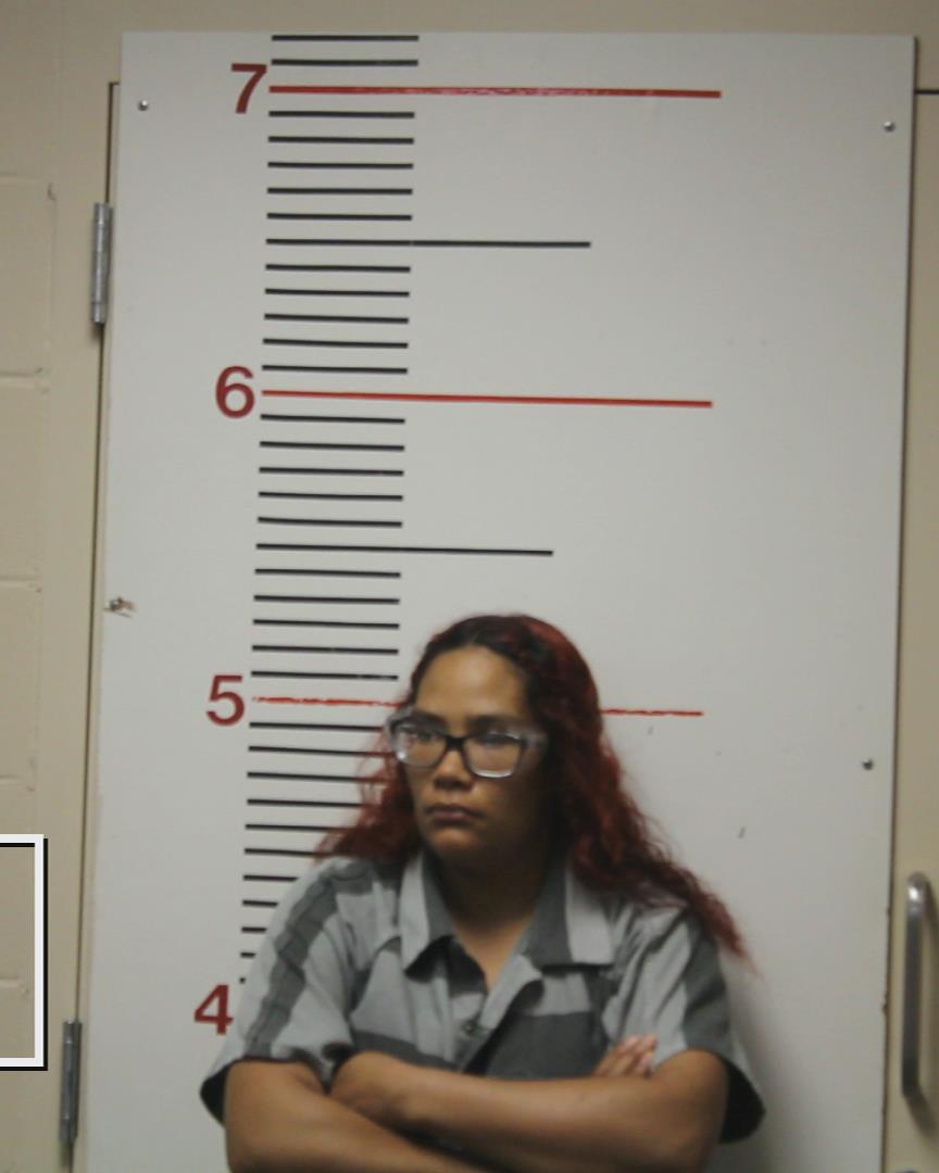 SWANSON, KAYLA RENEE booking photo
