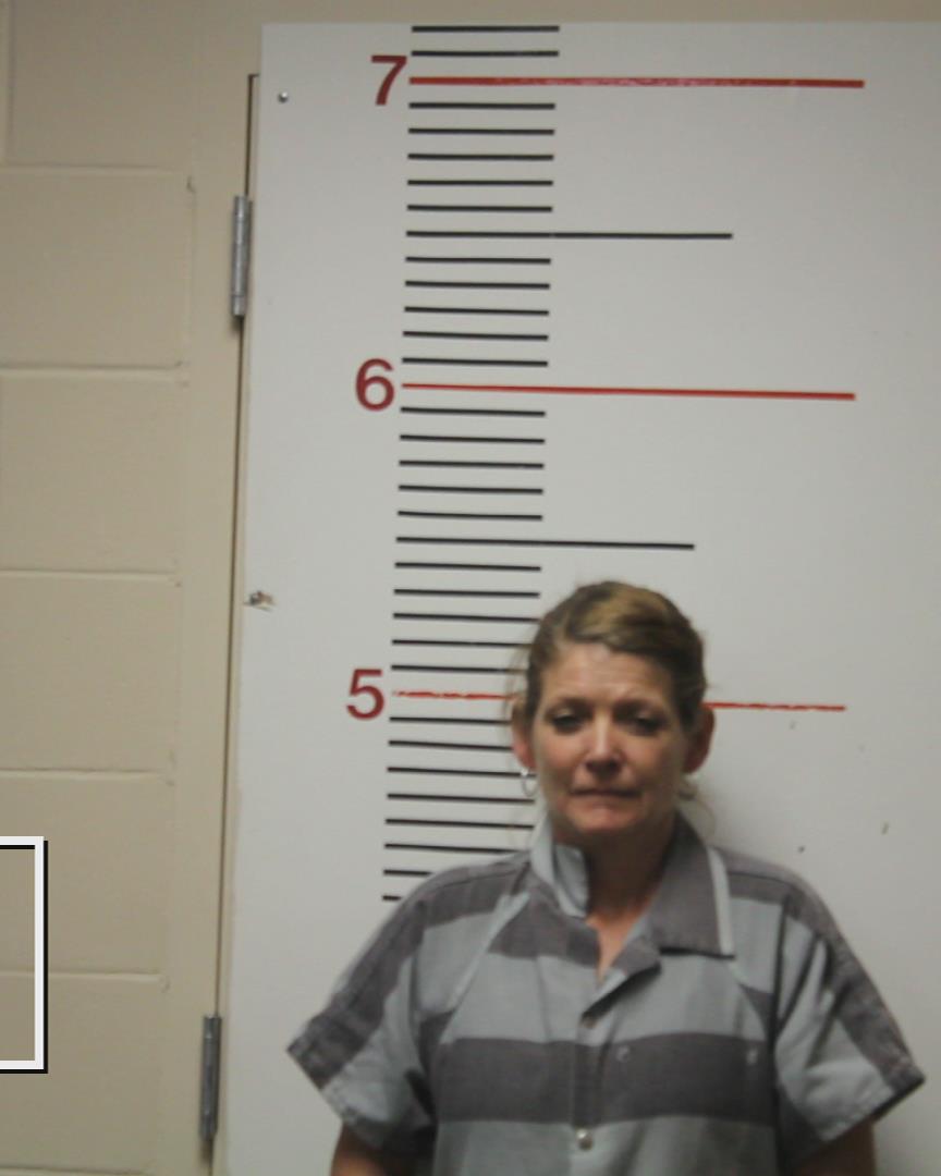 HAYS, ERIN ELIZABETH booking photo