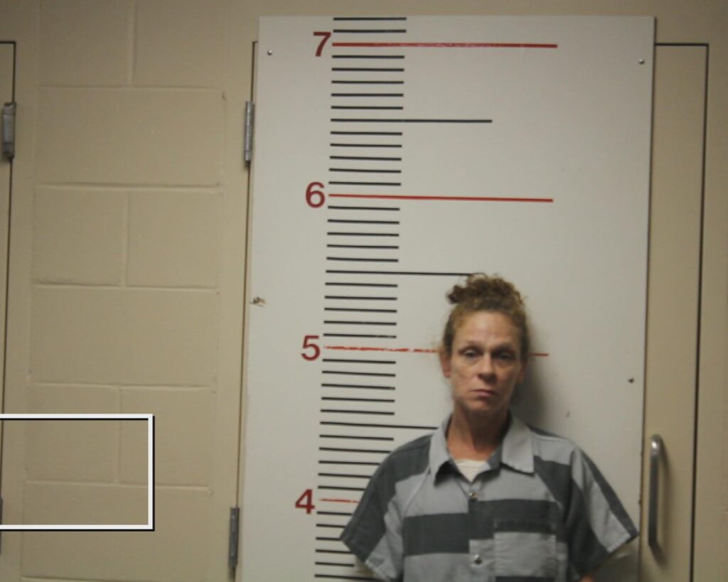 PAYNE, ANGELA R. arrested in Anderson County, Texas mugshot