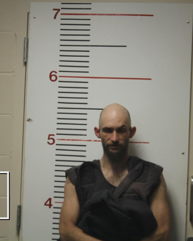 LIVELY, JAMES MICHAEL arrested in Anderson County, Texas mugshot