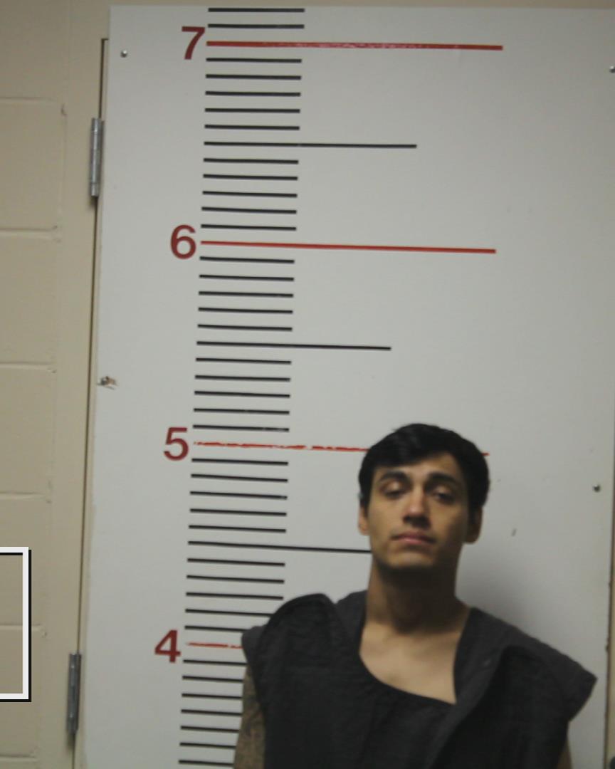 LOPEZ, LUPE AVILA booking photo