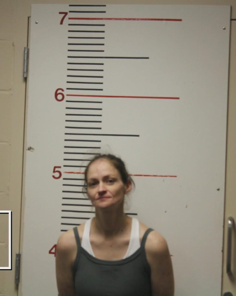HUFF, TRACY LYNN arrested in Anderson County, Texas mugshot