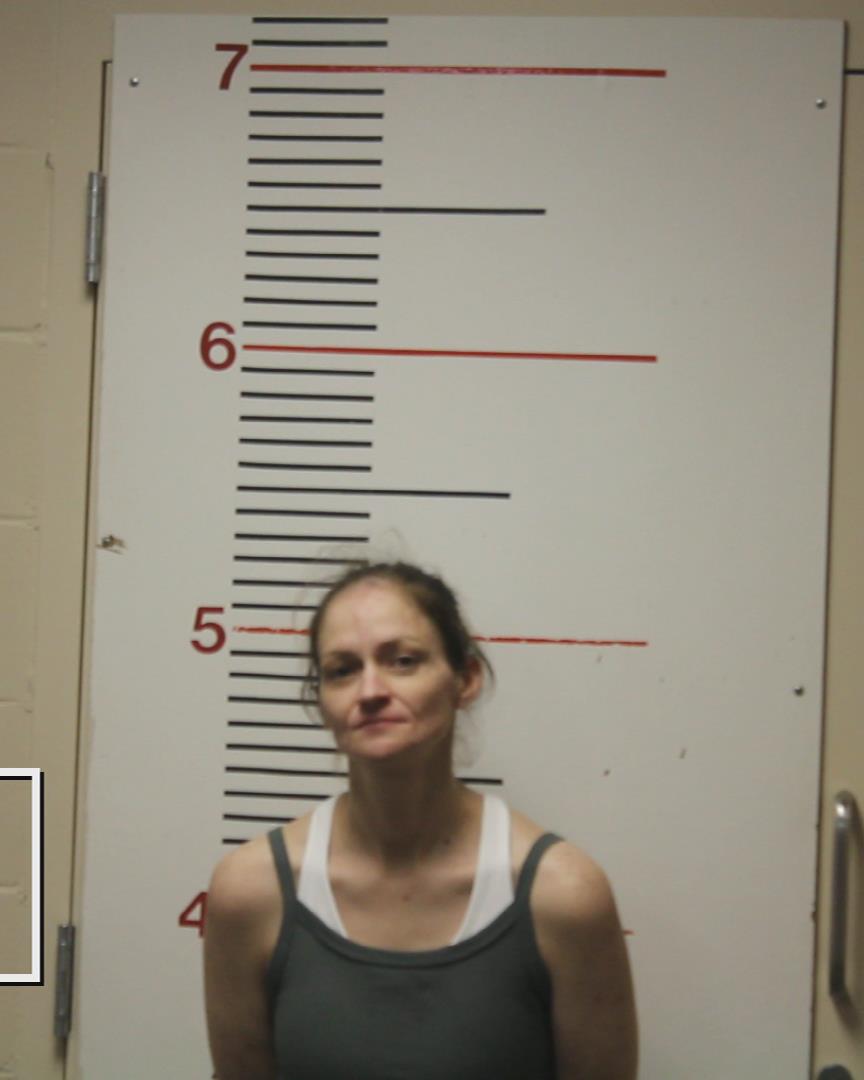 HUFF, TRACY LYNN booking photo