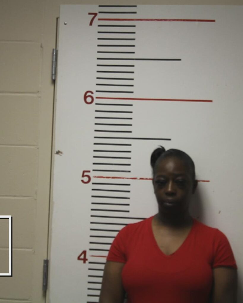 DONNELL, TAMARA DESHELL arrested in Anderson County, Texas mugshot