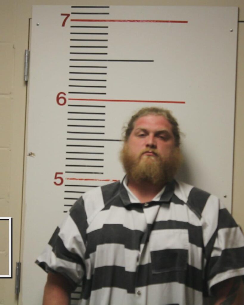 SNIDER, WINSTON LEE arrested in Anderson County, Texas mugshot