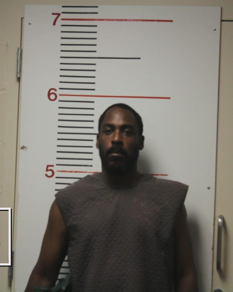 BROWN, NICHOLAS KENRICK arrested in Anderson County, Texas mugshot