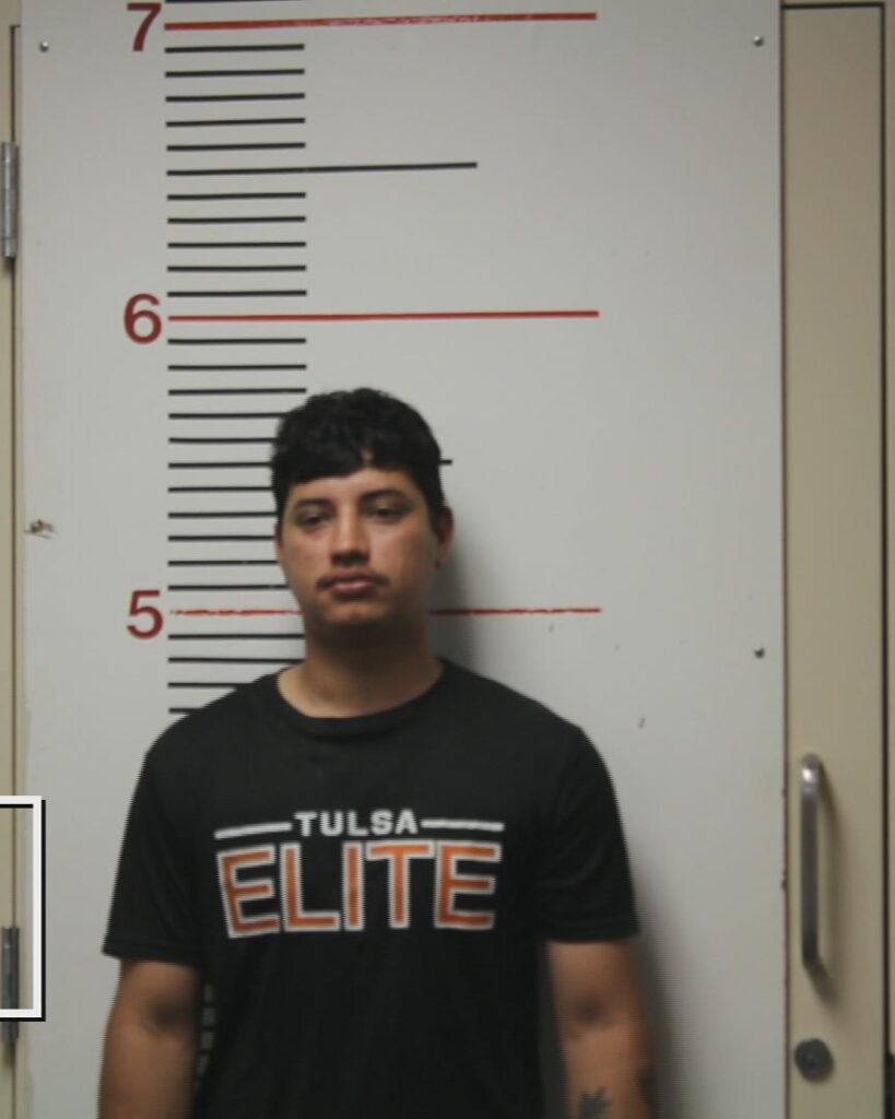 ARITA, WILFREDIS arrested in Anderson County, Texas mugshot