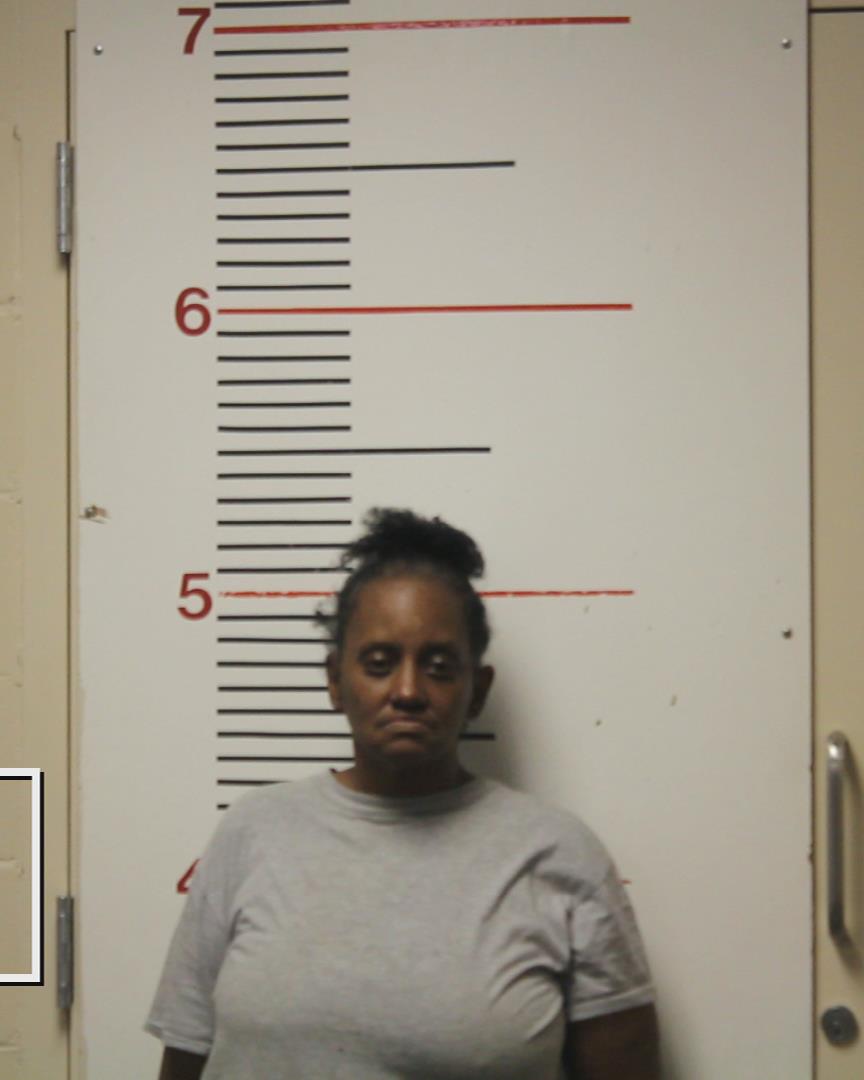 ELLIS, WANDA FAYE booking photo